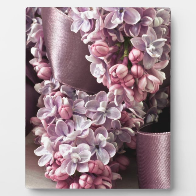 Placa Expositora Curvas Lilac Y Cinta (Frente)