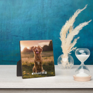 Placa Expositora Custom Photo With Your Pet Dog Name Picture On