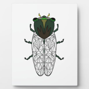 Placa Expositora Cute Cicada