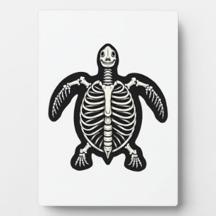 Placa Expositora Cute Halloween Turtle Skeleton Tortoise Fossiers A