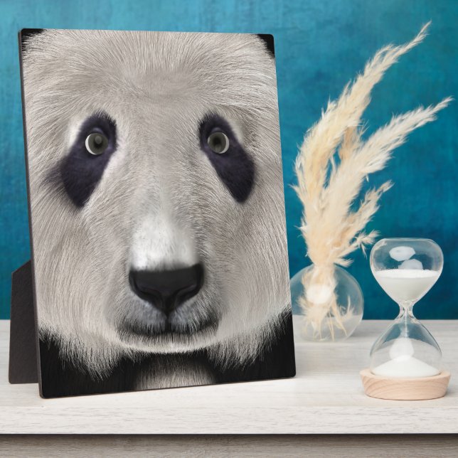 Placa Expositora Cute Panda Bear Kawaii Animal Lover Perfecto Regal (Lado)