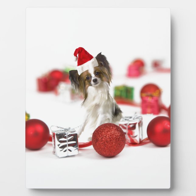 Placa Expositora Cute Papillon Dog Navidades Santa Hat (Frente)