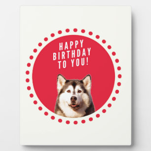 Placa Expositora Cute Siberian Husky Dog Feliz cumpleaños