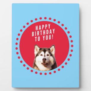 Placa Expositora Cute Siberian Husky Feliz cumpleaños puntos rojos 