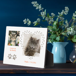 Placa Expositora Cute Soft Kitten Angel