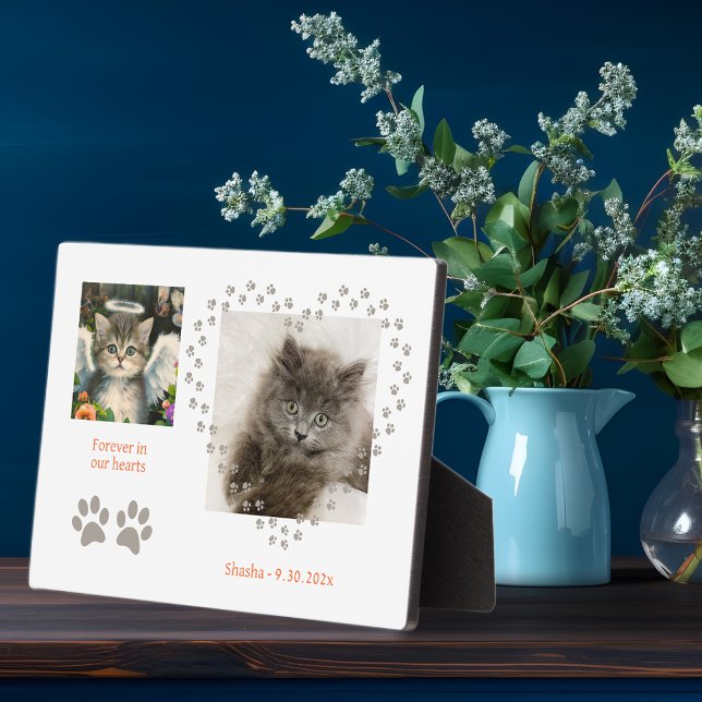 Placa Expositora Cute Soft Kitten Angel (Subido por el creador)