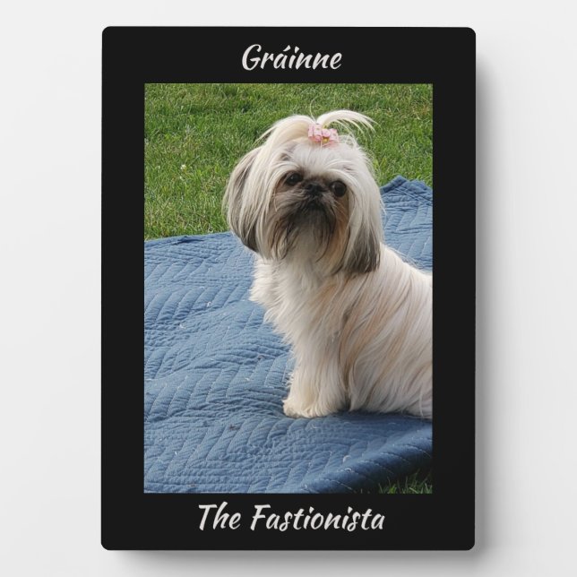 Placa Expositora Cute White Yorkshire Terrier (Frente)