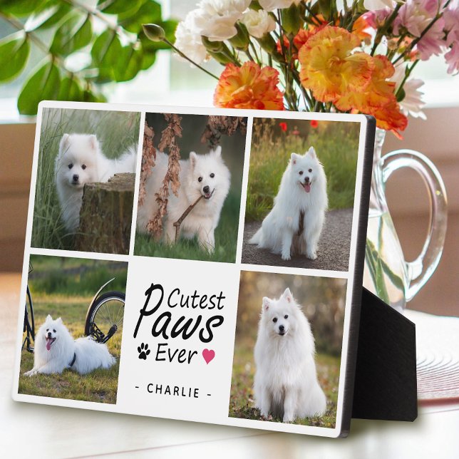 Placa Expositora Cutest Paws Nunca Moderno Mascota Collage de fotos (Subido por el creador)