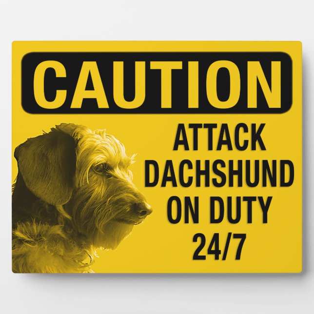 Placa Expositora Dachshund (Frente)