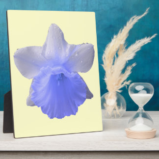 Placa Expositora Daffodil Blue Plaque