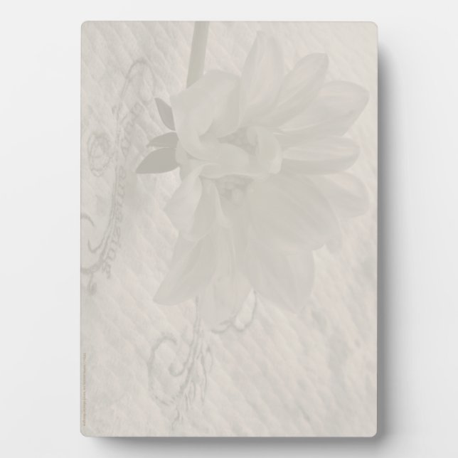 Placa Expositora Dahlia verdaderamente asombrosa (Frente)