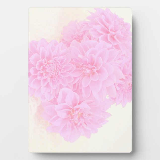 Placa Expositora Dahlias En Rosa Suave (Frente)