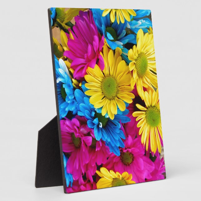 Placa Expositora Daisies de colores vivos (Lado)