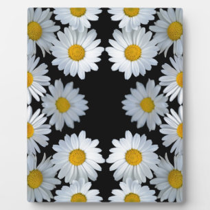 Placa Expositora Daisy negro de los años 90