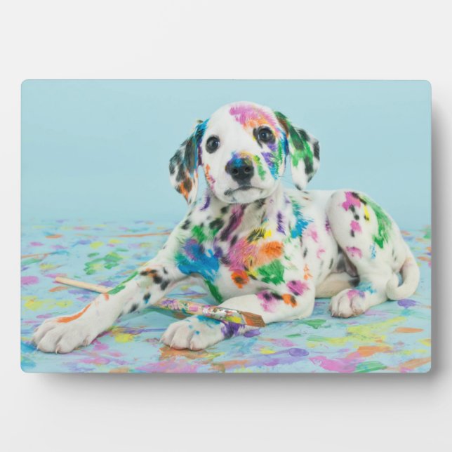 Placa Expositora Dalmatian Puppy (Frente)