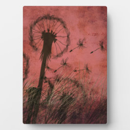 Placa Expositora Dandelion