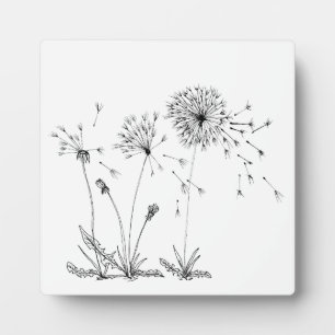Placa Expositora Dandelions