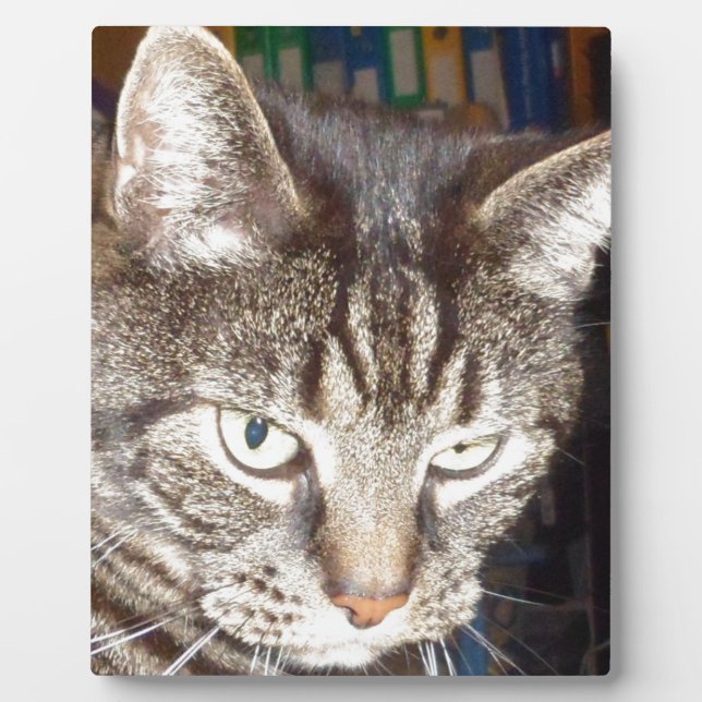 Placa Expositora Dave's Watching You (Frente)