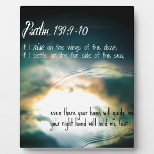 Placa Expositora Dawn