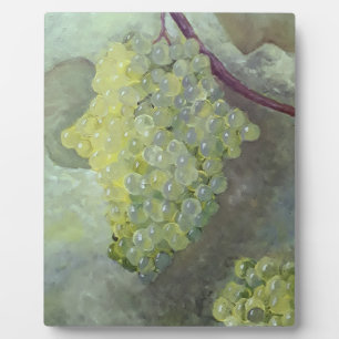 Placa Expositora Decoración