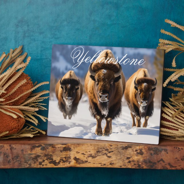 Placa Expositora Decoración Art-Yellowstone (Lado)