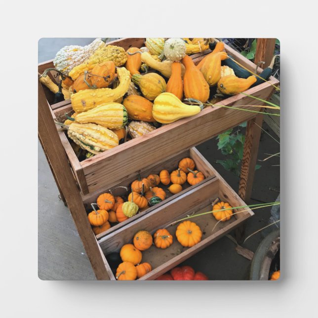 Placa Expositora Decoración de otoño (Frente)