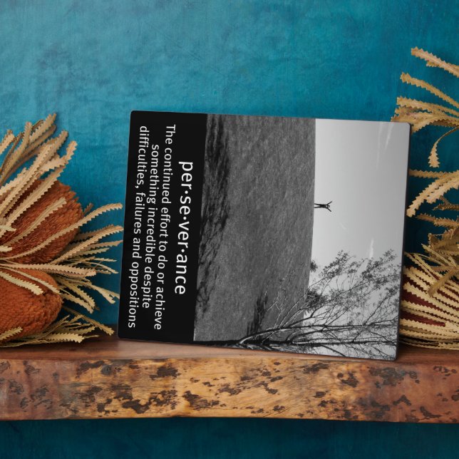 Placa Expositora Definición de perseverancia (Lado)