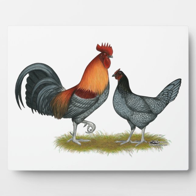 Placa Expositora Delaware Blue Hen (Frente)