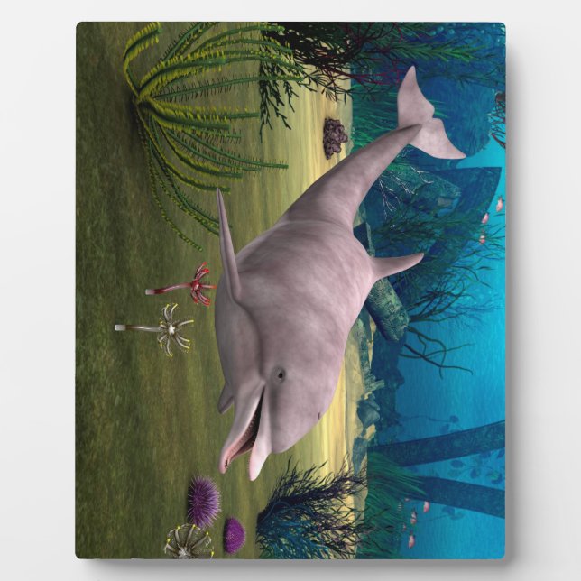 Placa Expositora Delfín sonriente (Frente)