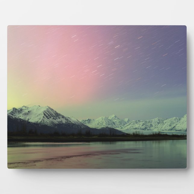 Placa Expositora Delicate Aurora (Frente)