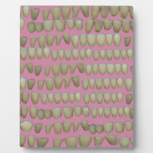 PLACA EXPOSITORA DENTISTRY DENTISTRY ORTHODONTICS ROTTEN DIETE BOCA