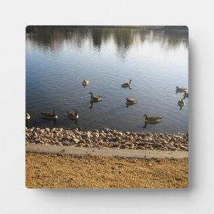 Placa Expositora Denver City Park, Denver, Colorado