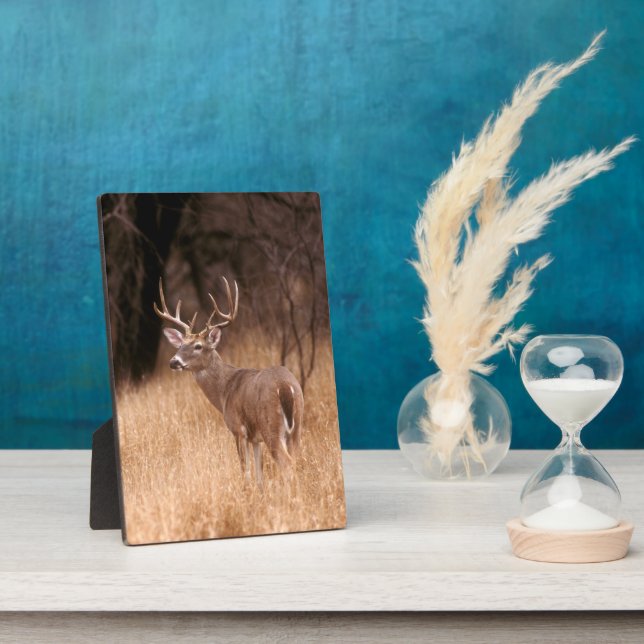 Placa Expositora Depósito de cola blanca | Parque Estatal Choke Can (Lado)