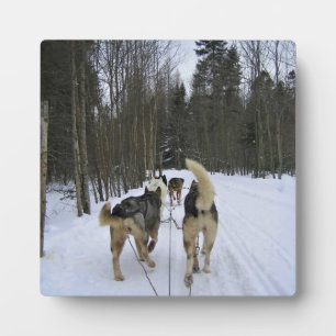 Placa Expositora Derrame de perro en Quebec, Canadá