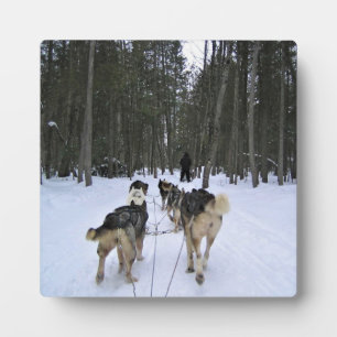 Placa Expositora Derrame de perro en Quebec, Canadá