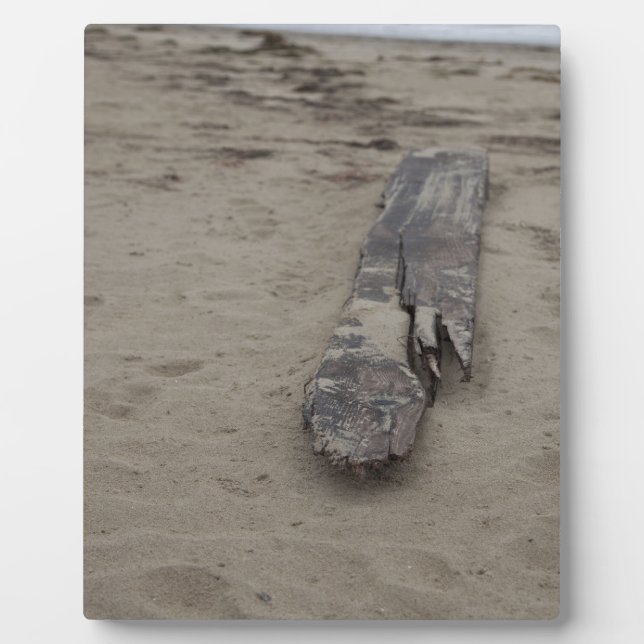 Placa Expositora Desde el mar (Frente)