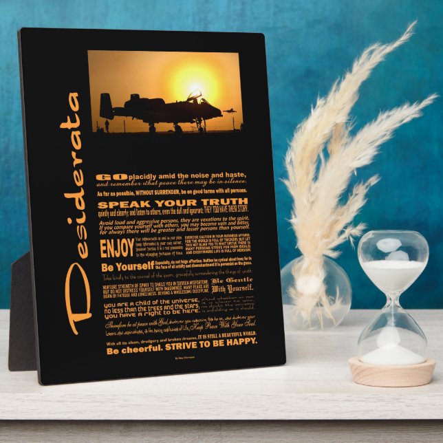 Placa Expositora Desiderata Poem Desiderata A-10 Thunderbolt (Lado)