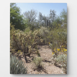 Placa Expositora Desierto