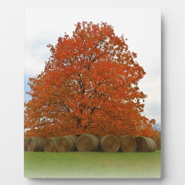 Placa Expositora Día de Otoño (Frente)