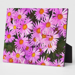 PLACA EXPOSITORA DÍAS