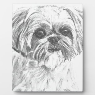 Placa Expositora Dibujo de Shih Tzu