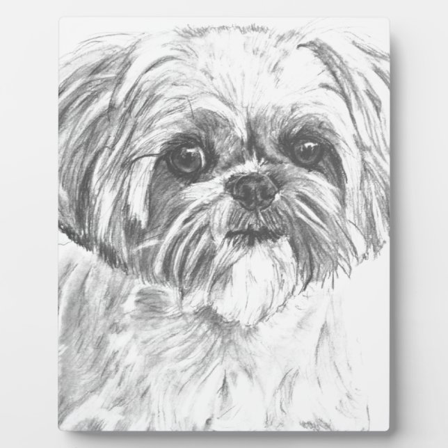 Placa Expositora Dibujo de Shih Tzu (Frente)