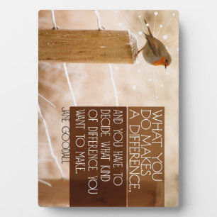 Placa Expositora Diferencia que desea hacer