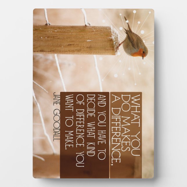 Placa Expositora Diferencia que desea hacer (Frente)