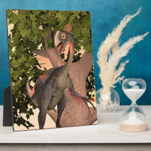 Placa Expositora Dinosaur Gigantoraptor