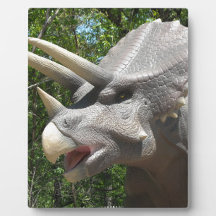 Placa Expositora Dinosaurio Triceratops