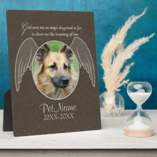 Placa Expositora Dios Envió un Ángel Mascota Simpatía Personalizado