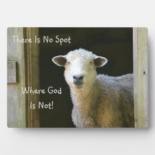 Placa Expositora Dios está en todas partes