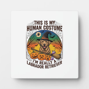 Placa Expositora Disfraz Humano Labrador Retriever Bruja de Hallowe
