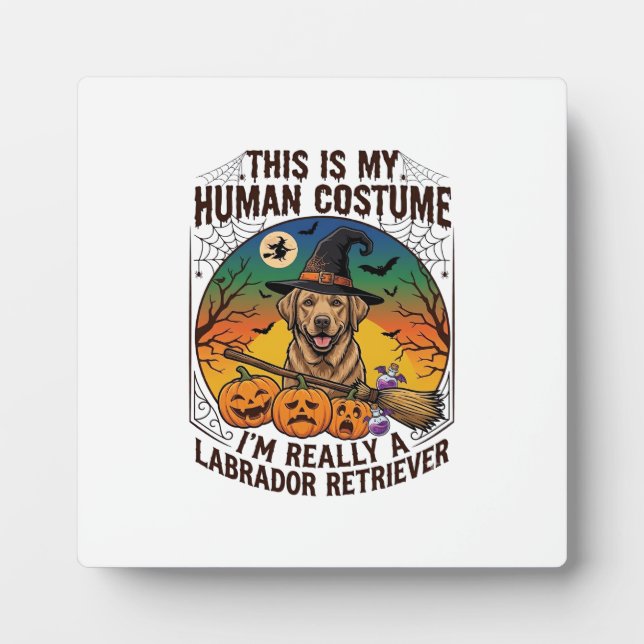 Placa Expositora Disfraz Humano Labrador Retriever Bruja de Hallowe (Frente)